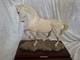 Royal Doulton The Lipizzaner Da243 Limited Edition Horse Figure