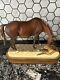 Royal Worcester The New Born, Horse And Foal Limited Edition