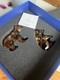 Swarovski Crystal Adorable Bear Cubs 5236593 Retired Scs 2017 Bnib Free Post