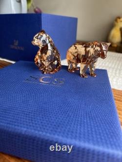 Swarovski Crystal Adorable Bear Cubs 5236593 Retired Scs 2017 Bnib Free Post