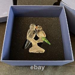 Swarovski Crystal BUDGIES COLOUR 680627 Birds Mint Rare Boxed Retired