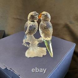 Swarovski Crystal BUDGIES COLOUR 680627 Birds Mint Rare Boxed Retired