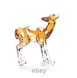 Swarovski Crystal Scs Fawn Figurine New 5493978 Rare 2020 Deer Retired USA