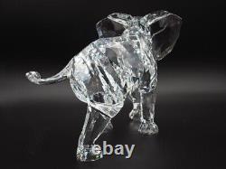 Swarovski Swarovski Crystal Figurine elephant 2006 Limited Edition SCS WithCase