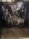 Tim Burton's The Nightmare Before Christmas 30th Anniversary Limited Edition