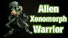 Weta Workshop Aliens Mini Epics Xenomorph Warrior Limited Edition Figure Review